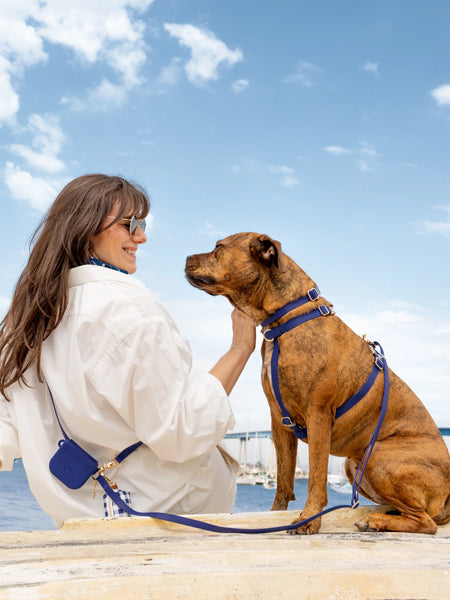 Shop-sunnytails-harnais-waterproof-pour-chien-bleu-nuit