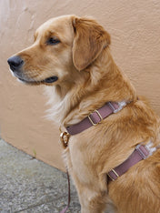 Shop-sunnytails-harnais-waterproof-pour-chien-marron