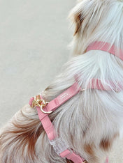 Shop-sunnytails-harnais-waterproof-pour-chien-rose-parfait