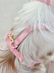 Shop-sunnytails-harnais-waterproof-pour-chien-rose-parfait