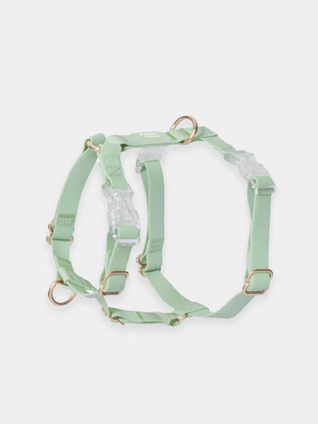        Shop-sunnytails-harnais-waterproof-pour-chien-vert-pastel