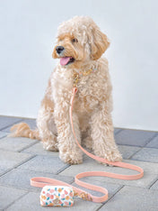       Shop-sunnytails-collier-waterproof-pour-chien-beige