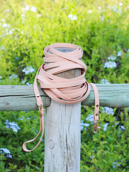     Shop-sunnytails-longe-education-9-metres-waterproof-pour-chien-peach-