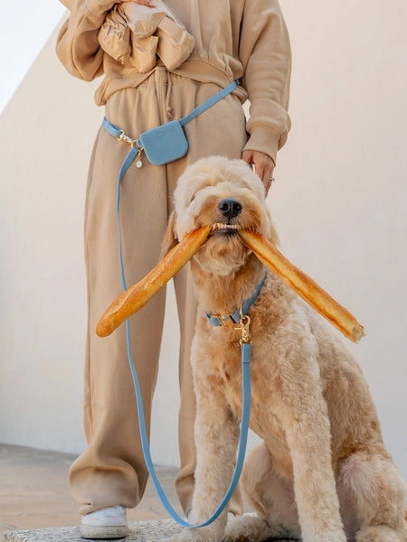 Shop-sunnytails-pochette-friandises-pour-chien-bleu