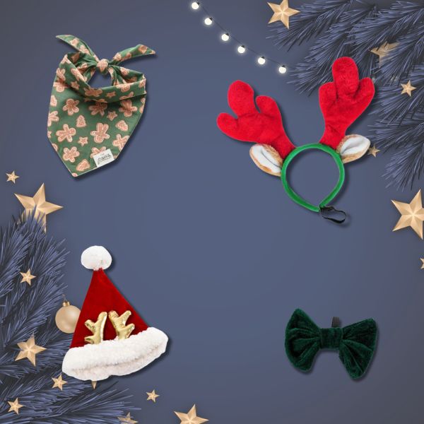 Shop the look - bandana et accessoire de noël pour chien