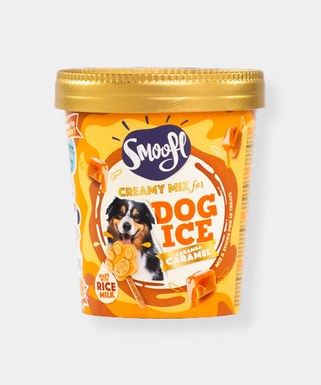 Smoofl-glace-pour-chien-creme-caramel