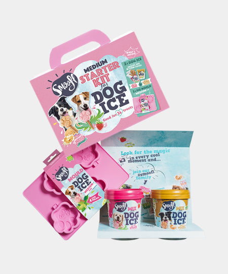     Smoofl-glace-pour-chien-starter-kit