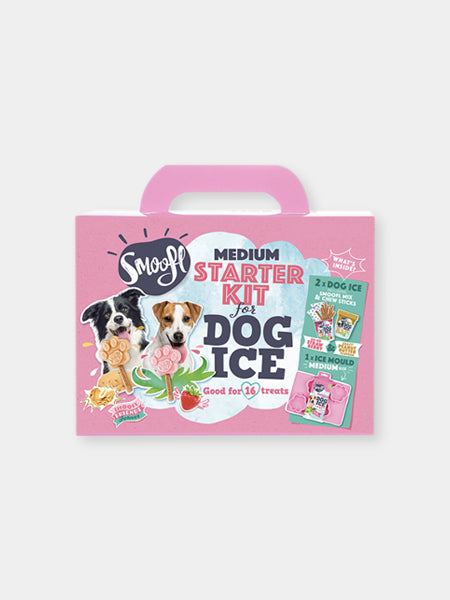 Smoofl-glace-pour-chien-starter-kit