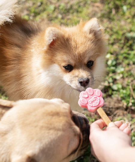     Smoofl-moule-pour-glace-pour-mini-chien