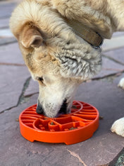 SodaPup-gamelle-interactif-pour-chien-chiot-yin-yang