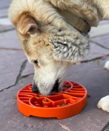 SodaPup-gamelle-interactif-pour-chien-chiot-yin-yang