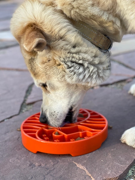 SodaPup-gamelle-interactif-pour-chien-chiot-yin-yang