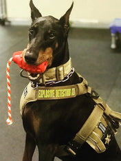     SodaPup-jouet-corde-tug-pour-chien-chiot-GRENADE-noir