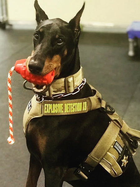     SodaPup-jouet-corde-tug-pour-chien-chiot-GRENADE-noir