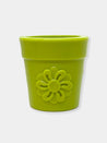       SodaPup-jouet-interactif-pour-chien-chiot-pot-fleur-orange      SodaPup-jouet-interactif-pour-chien-chiot-pot-fleur-vert