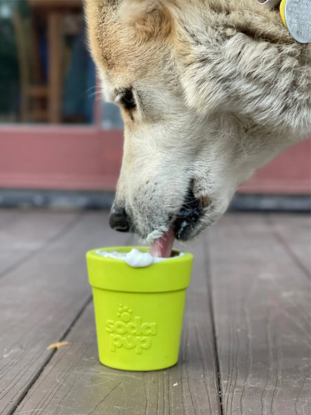       SodaPup-jouet-interactif-pour-chien-chiot-pot-fleur-vert