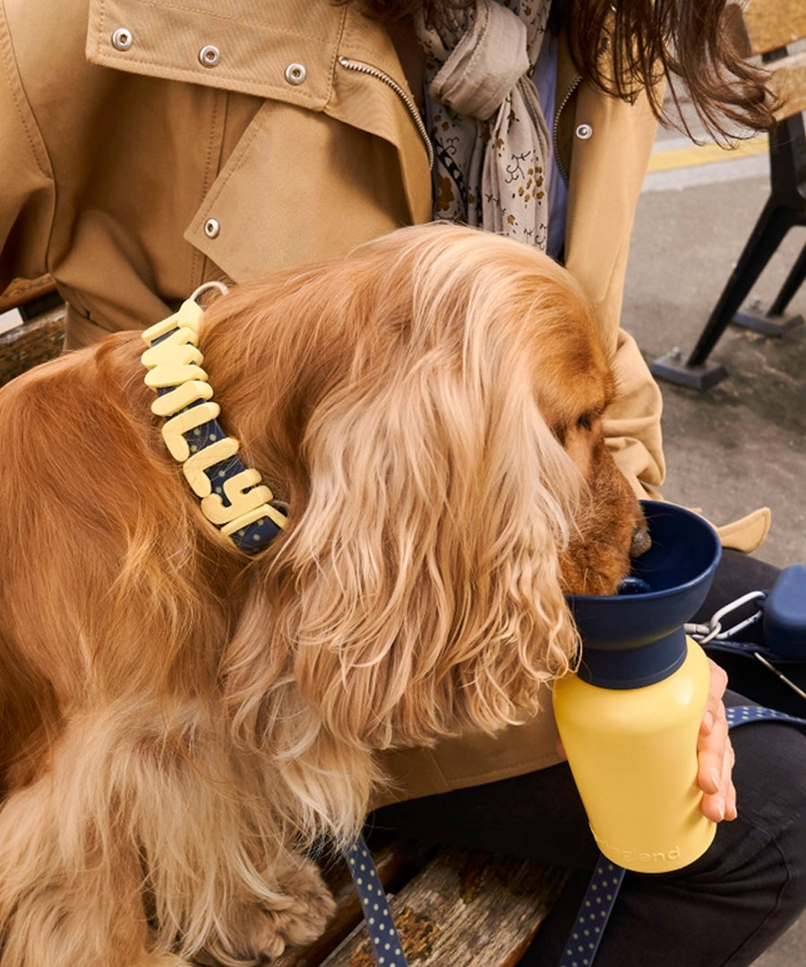 Springer-bouteille-Flip-Dog-portable-voyage-chien-bleu-jaune