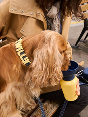 Springer-bouteille-Flip-Dog-portable-voyage-chien-bleu-jaune
