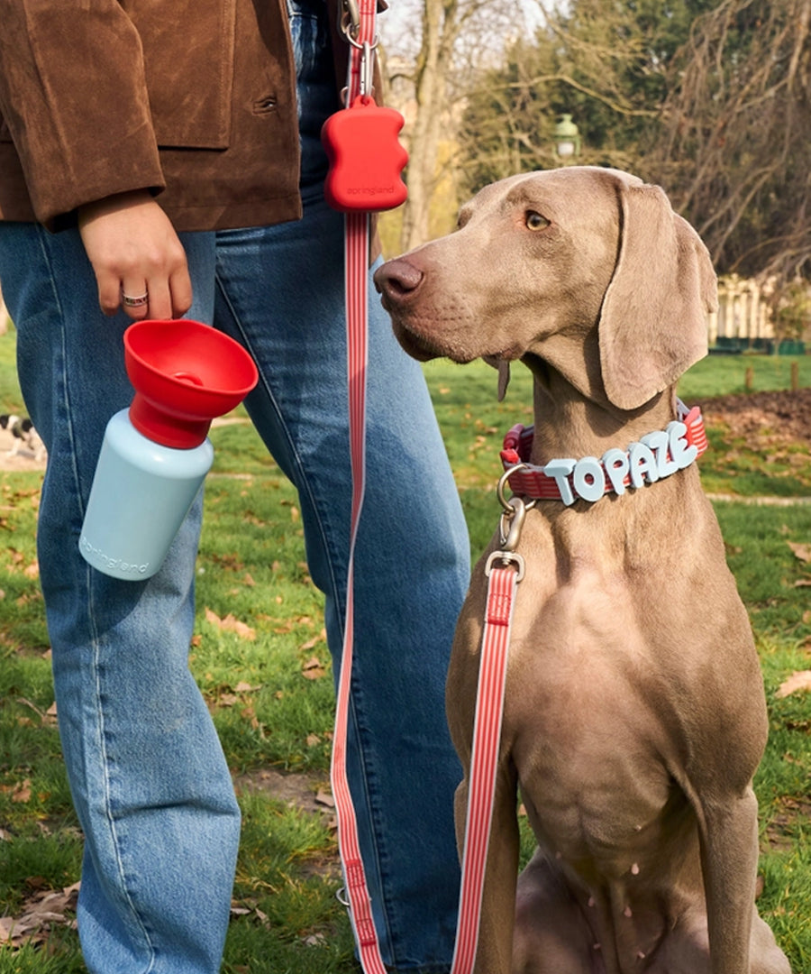 Springer-bouteille-Flip-Dog-portable-voyage-chien-bleu-rouge