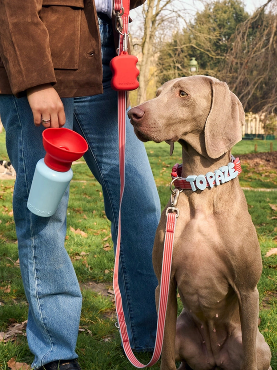 Springer-bouteille-Flip-Dog-portable-voyage-chien-bleu-rouge