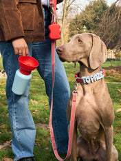 Springer-bouteille-Flip-Dog-portable-voyage-chien-bleu-rouge
