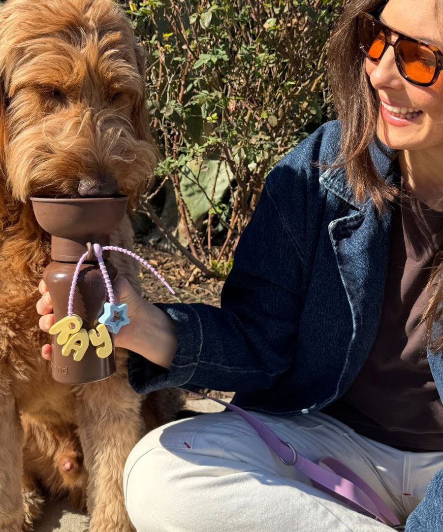 Springer-bouteille-Flip-Dog-portable-voyage-chien-marron