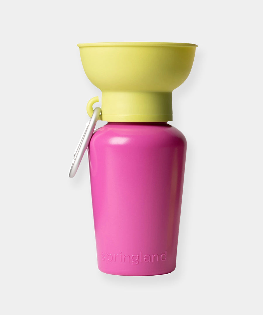 Springer-bouteille-portable-voyage-chien-Mediterranean-Palma