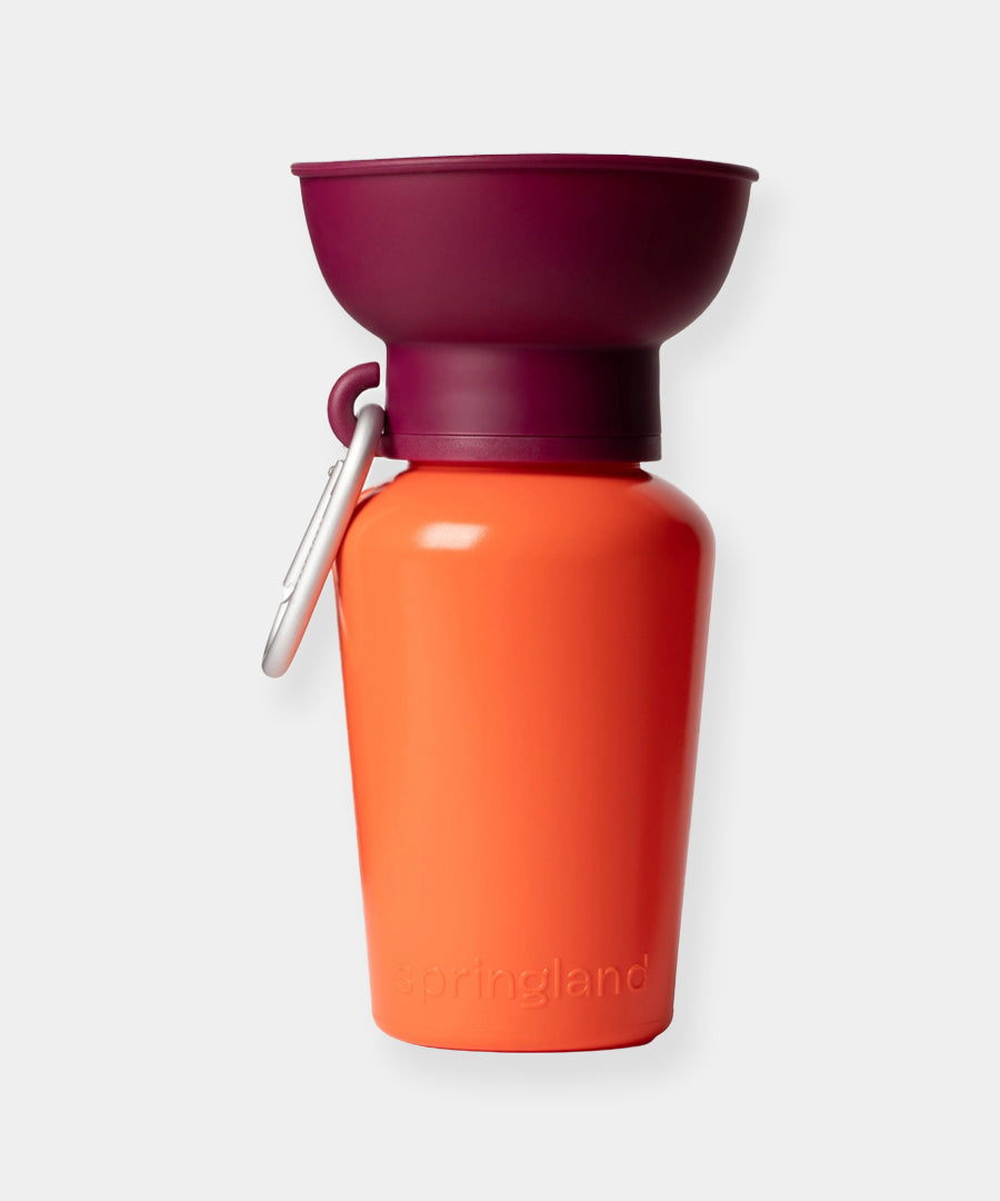 Springer-bouteille-portable-voyage-chien-Mediterranean-Valencia
