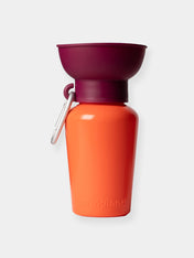 Springer-bouteille-portable-voyage-chien-Mediterranean-Valencia
