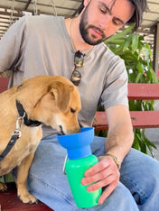 Springer-bouteille-portable-voyage-chien-flip-basilic-myrtille