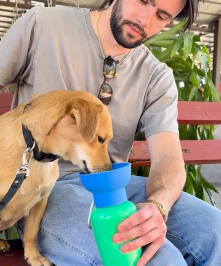 Springer-bouteille-portable-voyage-chien-flip-basilic-myrtille
