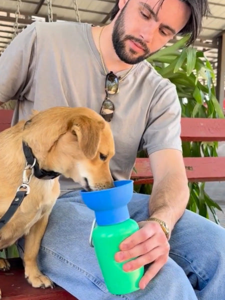 Springer-bouteille-portable-voyage-chien-flip-basilic-myrtille