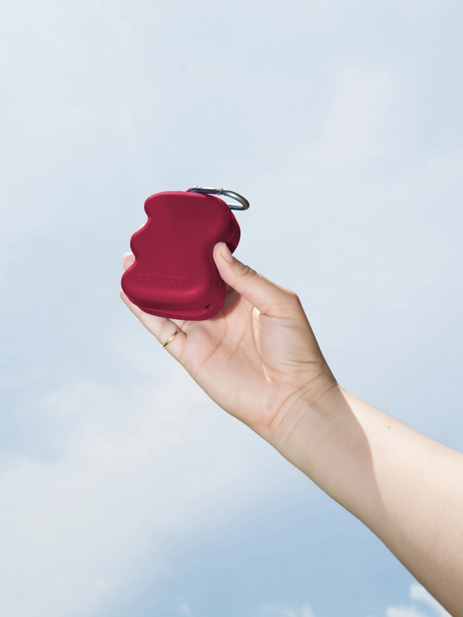 Springer-pochette-friandises-pour-chien-mure