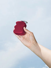 Springer-pochette-friandises-pour-chien-mure