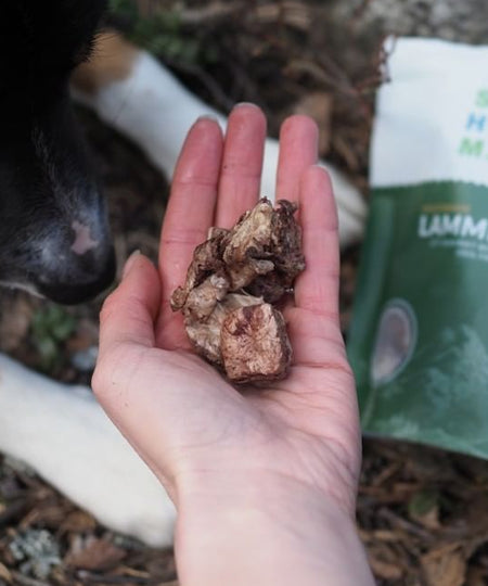 Sund-Hundmat-friandise-lyophilisee-freeze-dried-raw-agneau