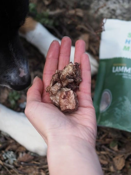 Sund-Hundmat-friandise-lyophilisee-freeze-dried-raw-agneau