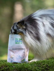     Sund-Hundmat-friandise-lyophilisee-freeze-dried-raw-crevette