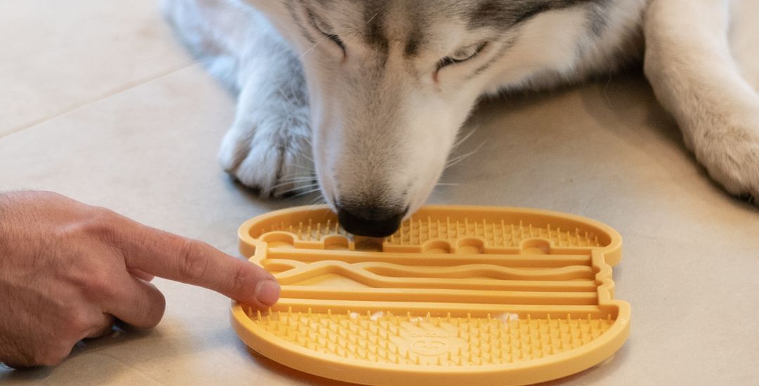 Tapis_lechage_chien_inooko_cfa49b07-b5fe-4713-8239-39421795685a.jpg