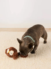 The-Foggy-Dog-balle-fouille-balle-pour-chien-chouette