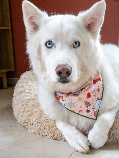 The-Foggy-Dog-bandana-chien-HolidayCookies-The-Foggy-Dog-RPC