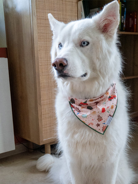 The-Foggy-Dog-bandana-chien-HolidayCookies-The-Foggy-Dog-RPC