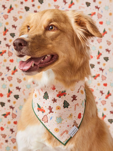 The-Foggy-Dog-bandana-chien-Holiday_Cookies-The-Foggy-Dog-RPC