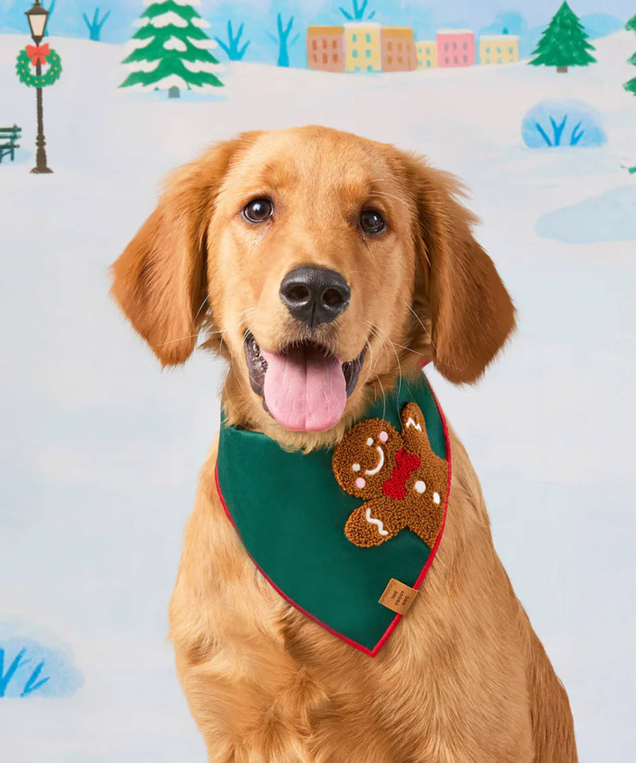 The-Foggy-Dog-bandana-pour-chien-tricot-pain-epice-noel