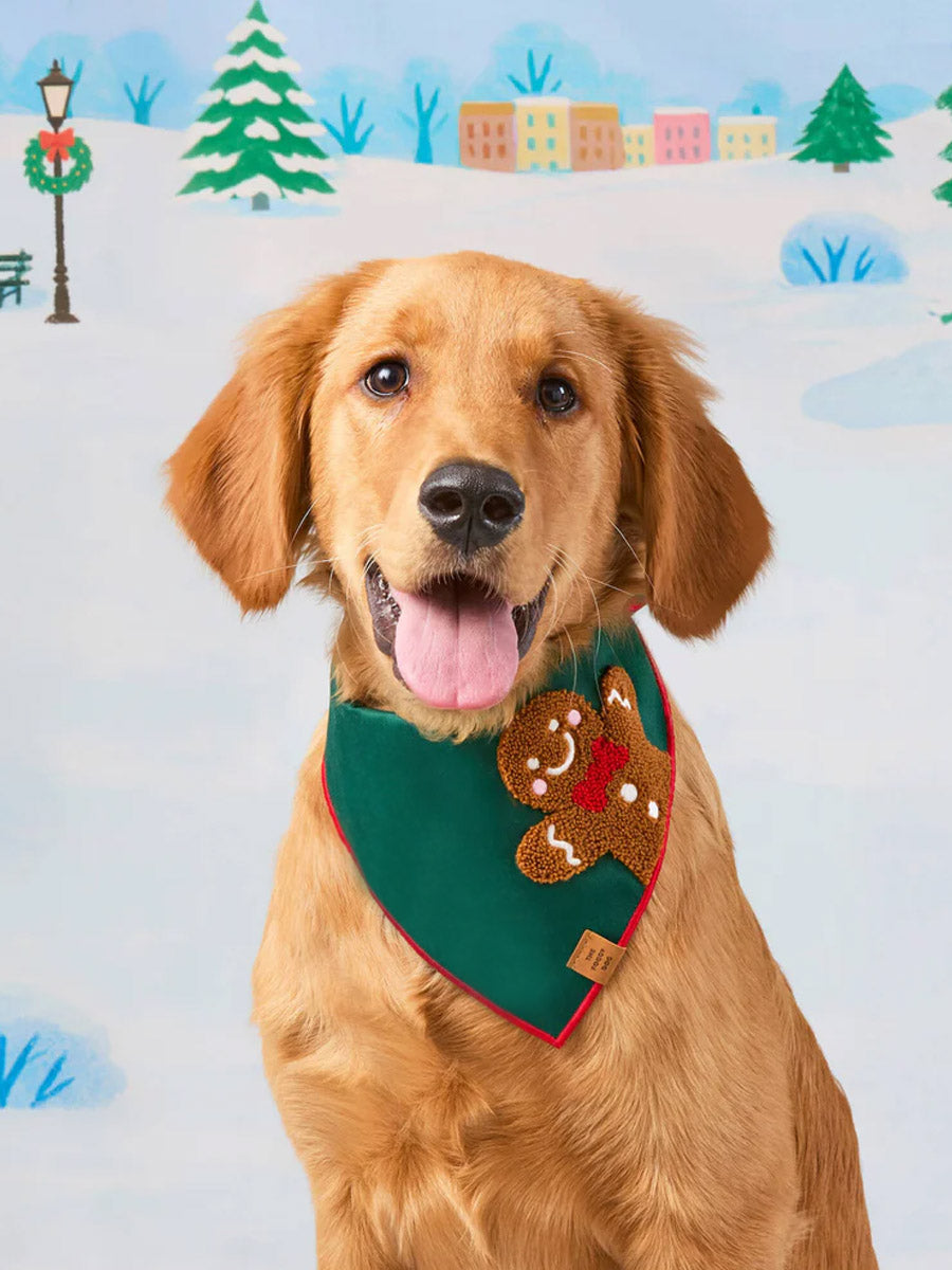 The-Foggy-Dog-bandana-pour-chien-tricot-pain-epice-noel