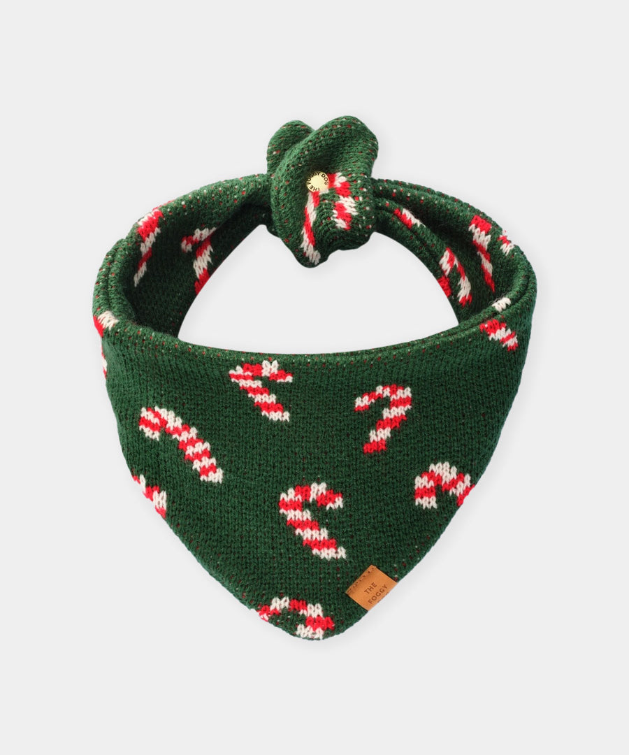 The-Foggy-Dog-bandana-tricot-pour-chien-tricot-noel