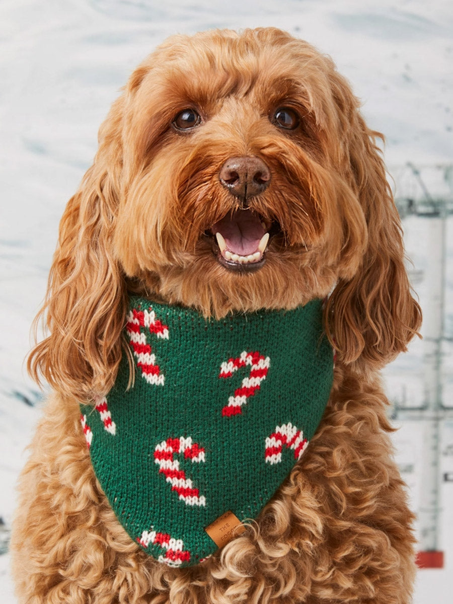 The-Foggy-Dog-bandana-tricot-pour-chien-tricot-noel