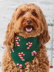 The-Foggy-Dog-bandana-tricot-pour-chien-tricot-noel