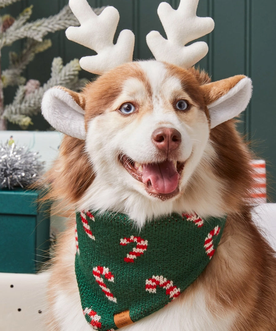 The-Foggy-Dog-bandana-tricot-pour-chien-tricot-noel