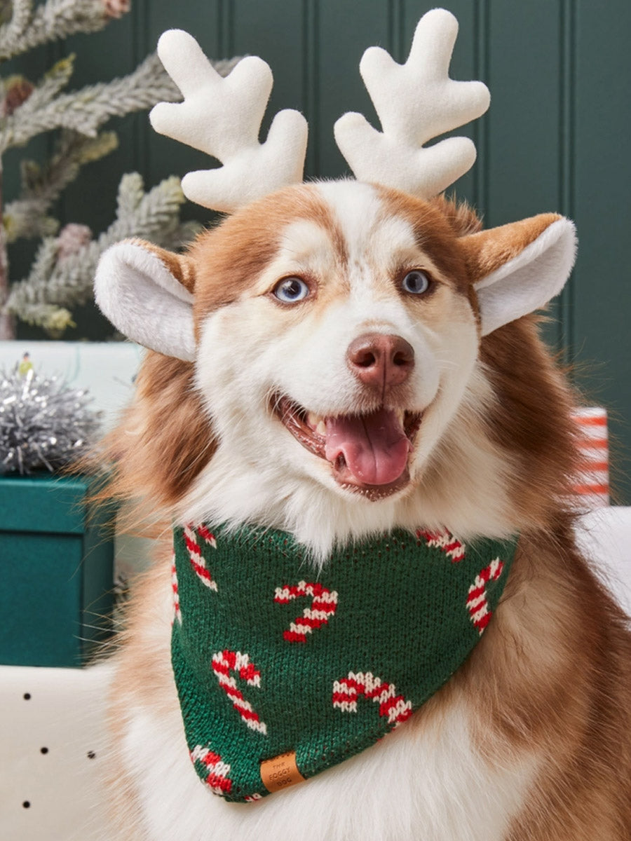 The-Foggy-Dog-bandana-tricot-pour-chien-tricot-noel