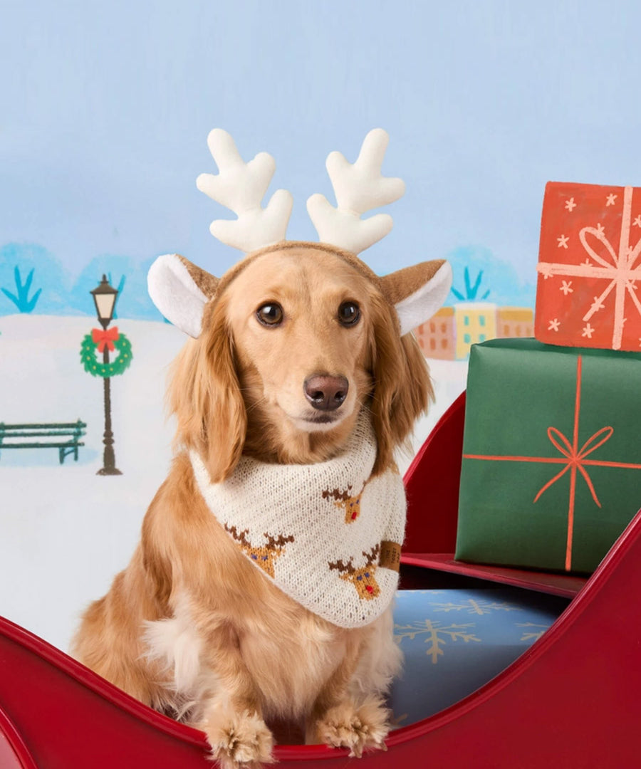 The-Foggy-Dog-bandana-tricot-pour-chien-tricot-renne-noel